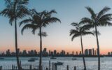 A “Miami tech” pode ultrapassar o Vale do Silício? Alguns investidores acham que sim