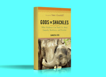 Gods in Shackles – What Elephants Can Teach Us About Empathy, Resilience, and Freedom