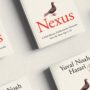 Nexus: A Brief History of Information Networks from the Stone Age to AI